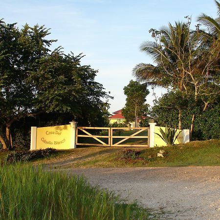 סן איגנאסיו Casa Del Caballo Blanco מראה חיצוני תמונה