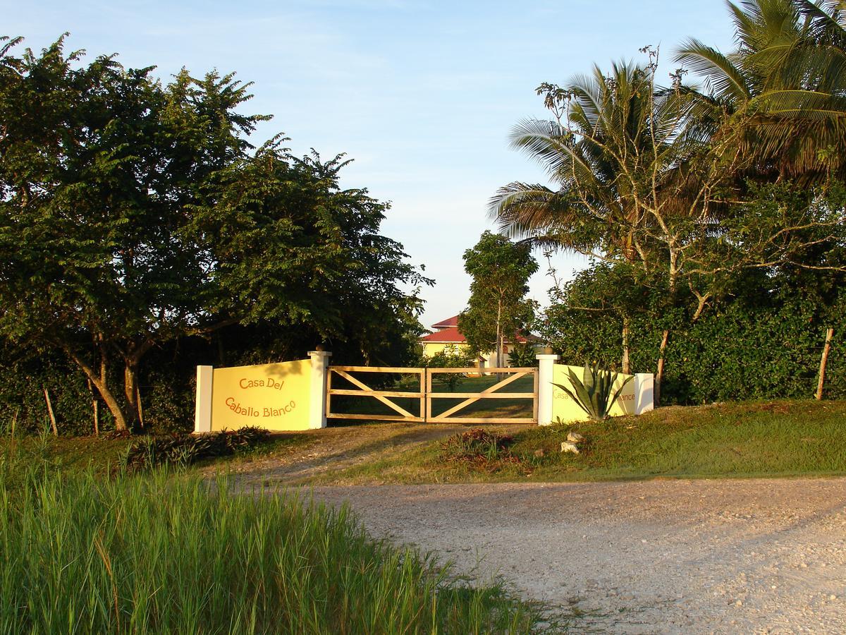 סן איגנאסיו Casa Del Caballo Blanco מראה חיצוני תמונה