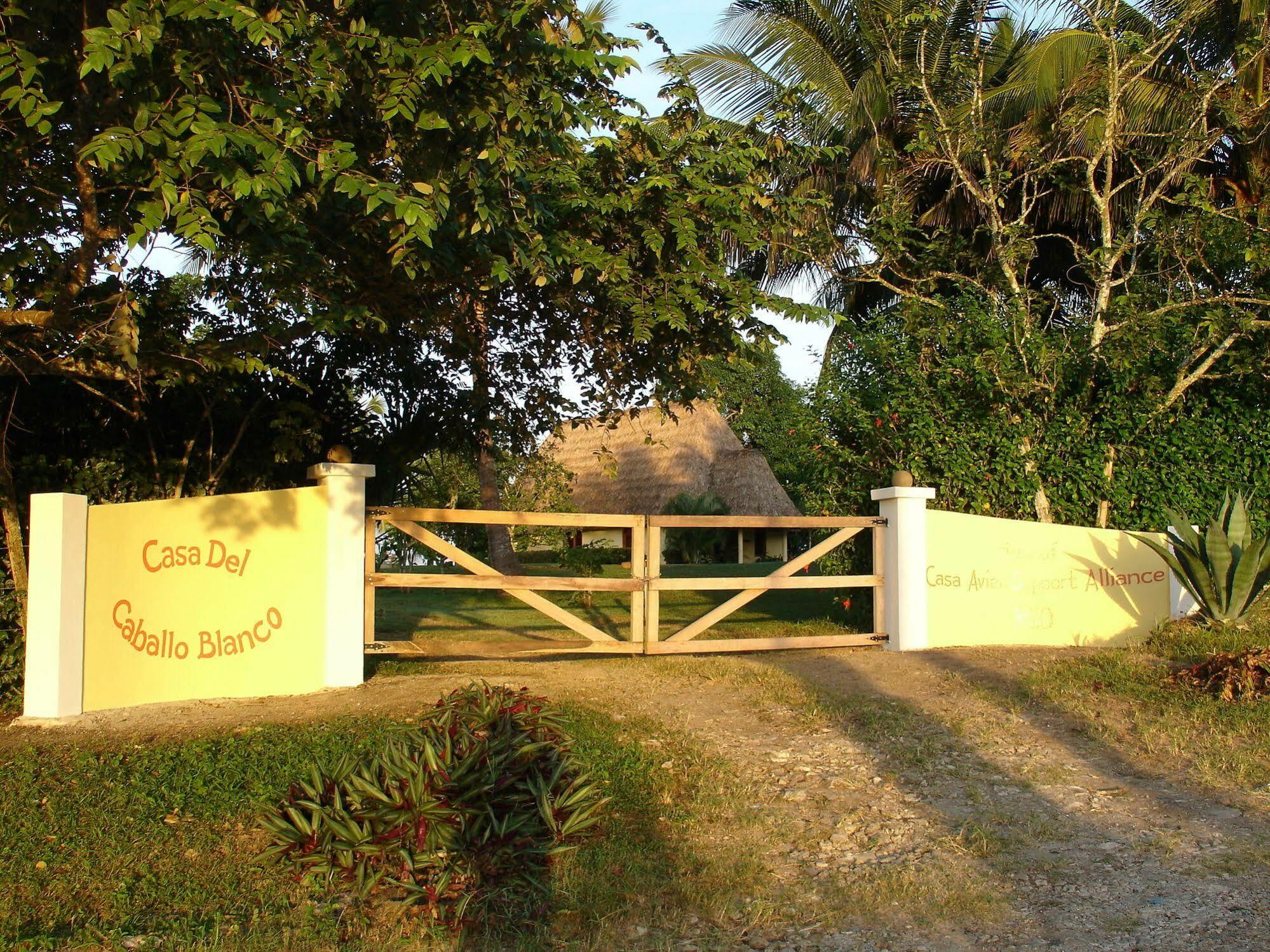 סן איגנאסיו Casa Del Caballo Blanco מראה חיצוני תמונה